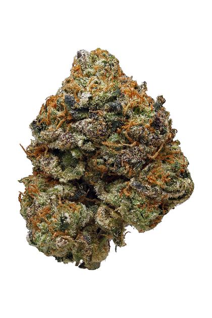 Phantom Cookies is a potent sativa-dominant hybrid known for its high THC levels, uplifting cerebral effects, and dessert-like flavor profile. A cross between Granddaddy Purple (GDP) and Cherry Pie, this strain combines the best of both worlds—euphoria, creativity, and relaxation—making it a favorite among those who love a flavorful yet powerful hybrid.
