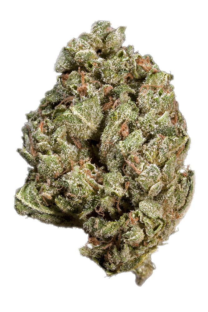 Sour-OG - DA GREEN CORNER LOS ANGELES WEED DELIVERY DISPENSARY KOREA TOWN MID CITY DOWNTOWN Sour OG is a potent, well-balanced hybrid strain known for its high THC levels, typically ranging from 25% to 30%, making it a top choice for experienced users seeking a strong and long-lasting high. This powerhouse strain is a cross between two legendary cultivars, Sour Diesel and OG Kush, resulting in a unique combination of euphoric cerebral effects and deep body relaxation.