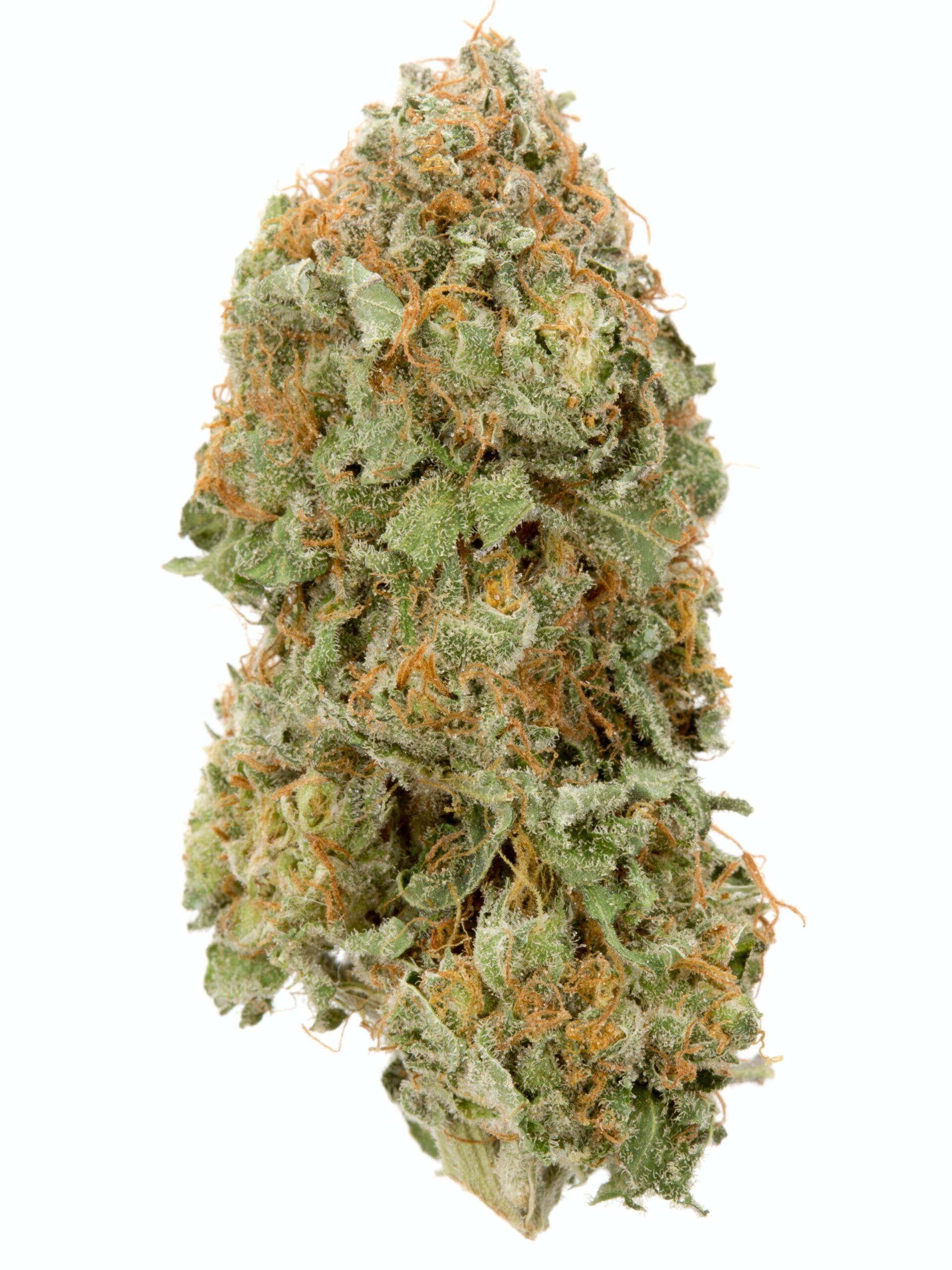 Strawberry-Kush - DA GREEN CORNER LOS ANGELES WEED DELIVERY DISPENSARY KOREA TOWN MID CITY DOWNTOWN Strawberry Kush is a popular hybrid strain known for its sweet, fruity aroma with a hint of earthy undertones. It offers a balanced effect, often providing relaxation without heavy sedation, making it great for daytime use. This strain typically combines the relaxing effects of Kush with the uplifting, creative buzz from its strawberry genetics. It's well-loved by both recreational and medicinal users for its ability to relieve stress and enhance mood. Its dense, resin-covered buds are often a beautiful mix of green and purple hues.