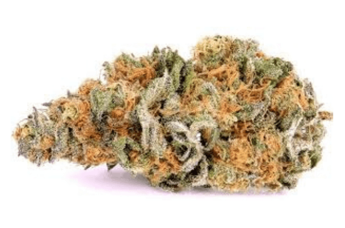 Thunder Fuck Haze is a legendary cannabis strain known for its potent effects and high THC content. Often referred to as "Thunderfuck" or "Alaskan Thunderfuck," this strain is a hybrid with origins tracing back to the Alaskan region, known for its resilience and power. It’s a cross between the Alaskan and Haze strains, bringing together the best of both worlds for a unique and powerful experience.