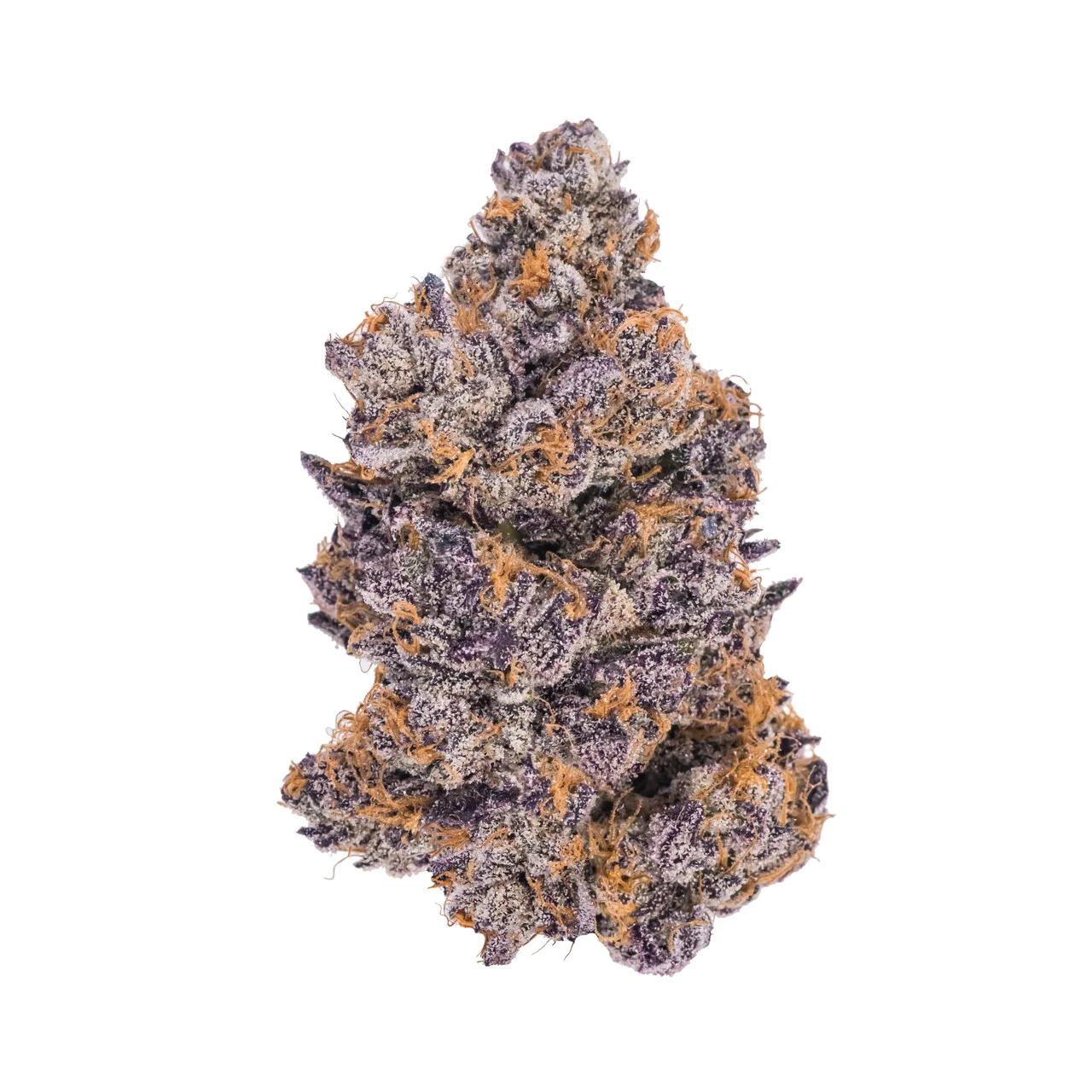 jealousy-strain-cannabis-flower-nug - DA GREEN CORNER LOS ANGELES WEED DELIVERY DISPENSARY KOREA TOWN MID CITY DOWNTOWN Jealousy by Seed Junky Genetics is a highly sought-after hybrid strain that has gained significant popularity for its potent effects and exceptional flavor profile. This strain is a cross between the well-known Gelato 41 and Sherbert, resulting in a smooth blend of sweet, creamy, and citrusy flavors with a touch of earthiness.