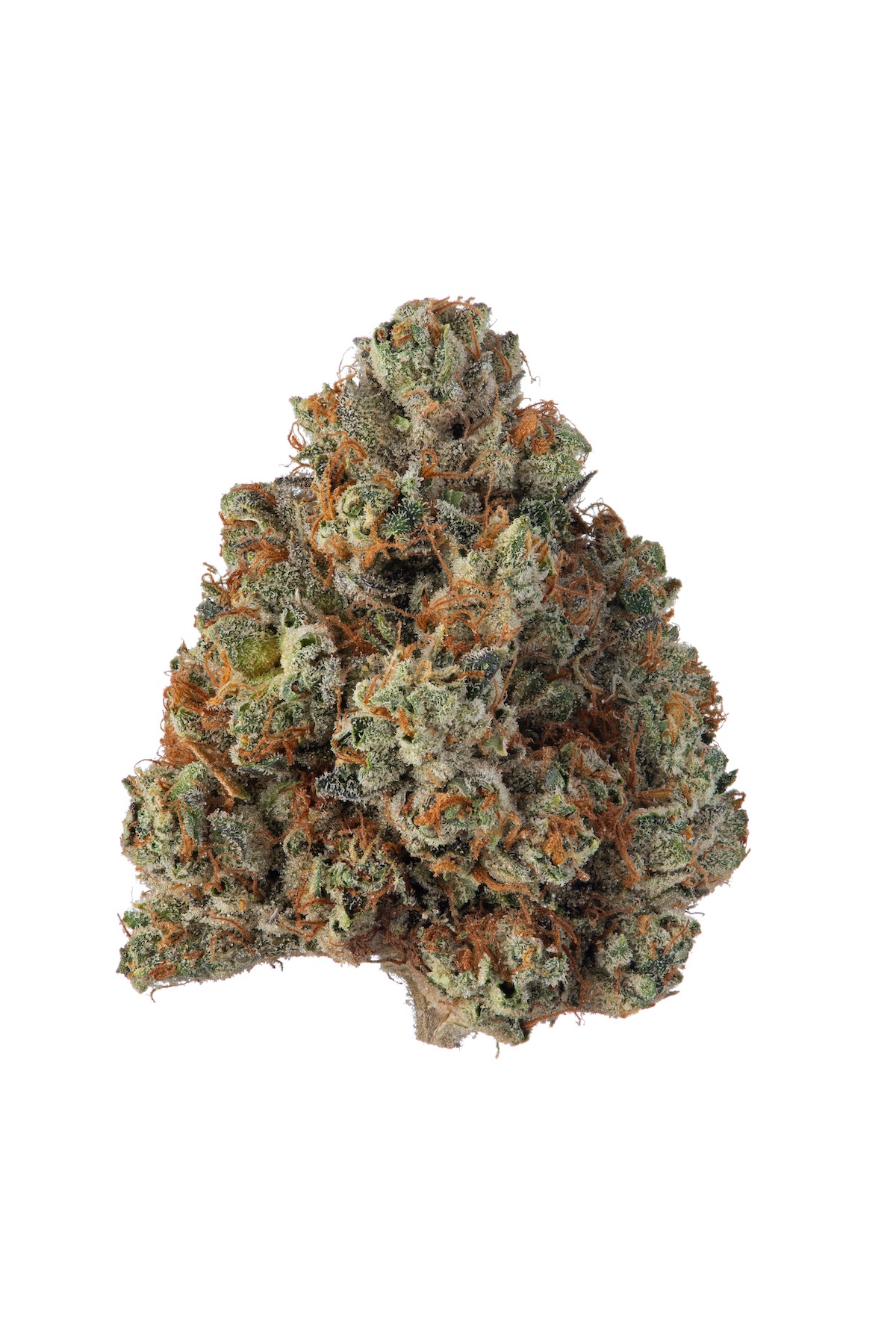 sfv-sherbet - DA GREEN CORNER LOS ANGELES WEED DELIVERY DISPENSARY KOREA TOWN MID CITY DOWNTOWN SFV OG x Sherb Bx1 by Seed Junky Genetics is a highly anticipated hybrid strain that combines the powerful, classic effects of SFV OG with the unique and flavorful profile of Sherbet. This cross brings together the best of both worlds—the citrusy, sweet notes of Sherbet with the earthy, piney, and kushy characteristics of SFV OG—resulting in a potent, well-rounded strain that delivers a memorable experience.