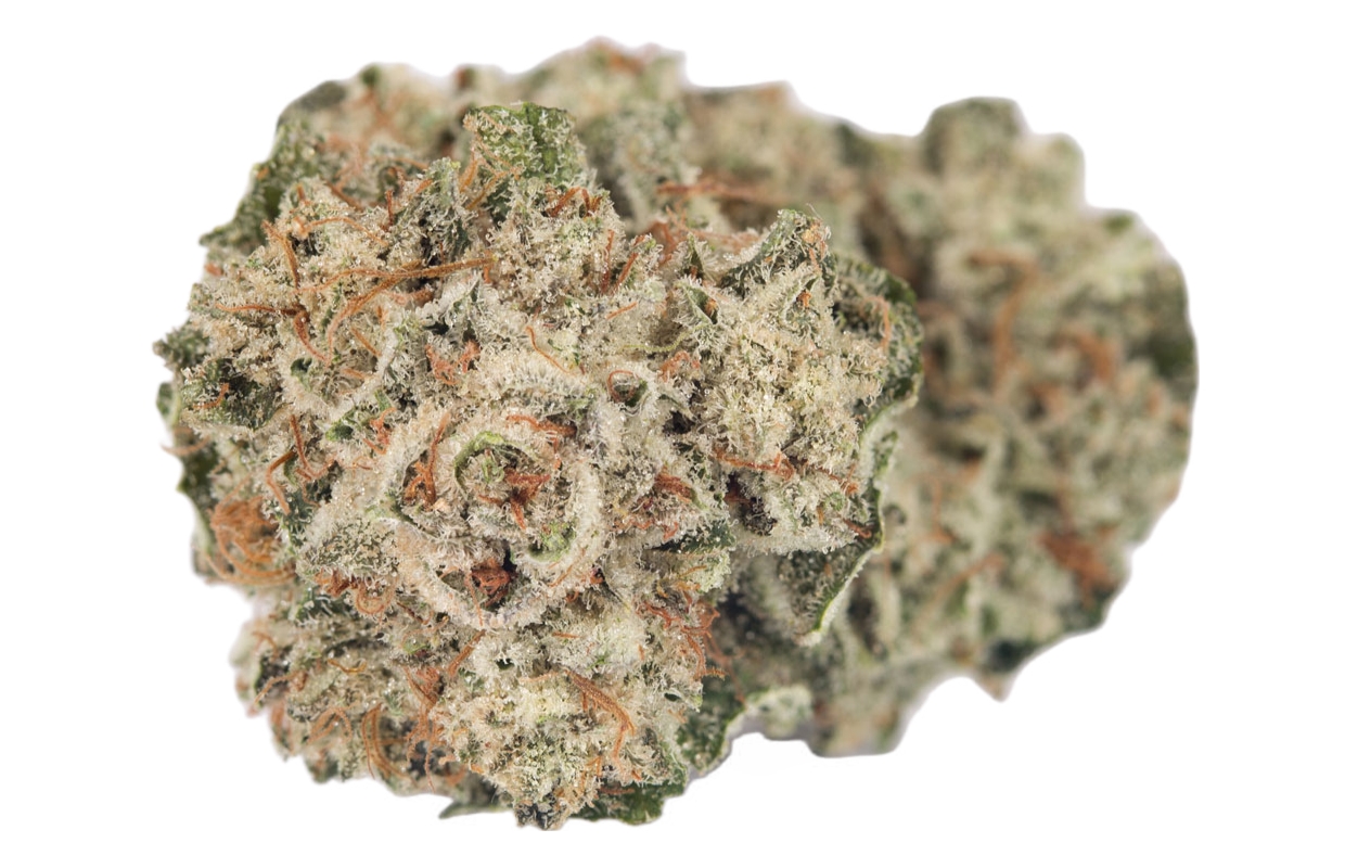 ufc-og-new - DA GREEN CORNER LOS ANGELES WEED DELIVERY DISPENSARY KOREA TOWN MID CITY DOWNTOWN UFC OG is a potent and highly revered cannabis strain, known for its strong effects and high THC content. A hybrid strain, UFC OG combines the best traits of both indica and sativa, delivering a well-rounded experience that packs a punch. It’s especially favored by experienced users seeking powerful effects.