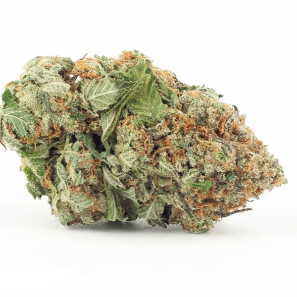 Afghan OG Kush - DA GREEN CORNER LOS ANGELES WEED DELIVERY DISPENSARY KOREA TOWN MID CITY DOWNTOWN Venom OG is a potent and highly regarded cannabis strain known for its high THC content and powerful effects. This indica-dominant hybrid delivers a heavy, relaxing body high that makes it ideal for evening use or winding down after a long day.